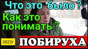 Деревенский дневник очень многодетной мамы _Что это было_ _Как это понимать_ _Обзор Влогов _