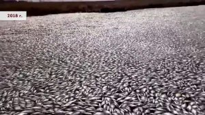 Разговоры о важном. Видеофрагмент передачи «БесогонТВ». День Земли — каждый день