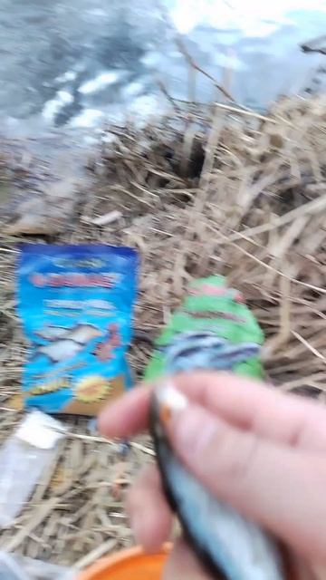 Открытие сезона 2026 г.