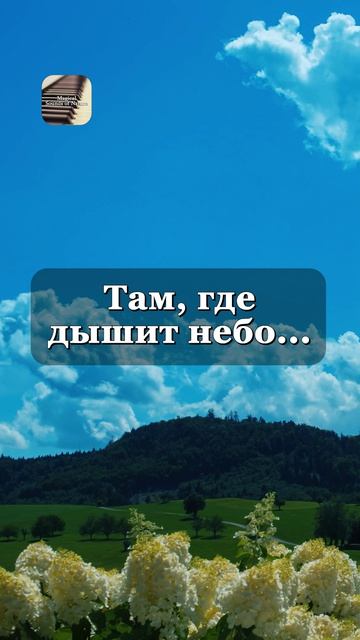 Выше облаков | Успокаивающая музыка гор для глубокого сна и отдыха 🏔️☁️🏔️