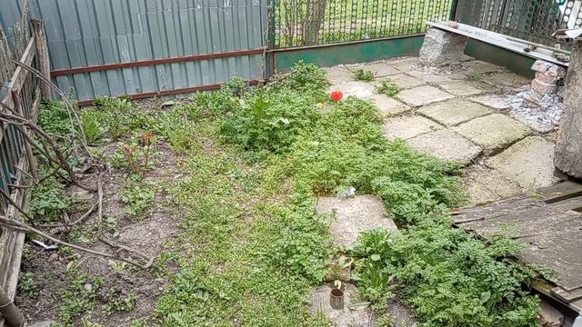 Скучать не приходиться 🌸🌸🌸Чем занимаюсь! Юг России 🌴.