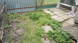 Скучать не приходиться 🌸🌸🌸Чем занимаюсь! Юг России 🌴.