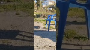 НАС ЗАКРЫВАЮТ /МЫ НЕ ВИНОВАТЫ /БЕЗДОМНЫЕ АЛЕУТЫ В СОЧИ #катясочи #бездомные #алеуты #бомжи #топ