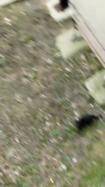 PXL_20260418_161435541