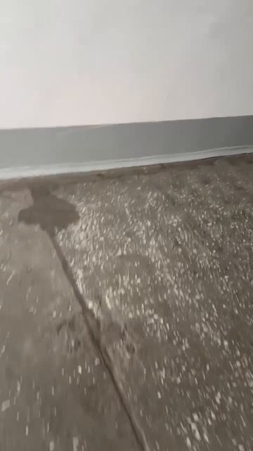 Иосифа каролинского 16.mp4