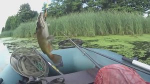 в поисках ЛИНЯ НА ПОПЛАВОК.