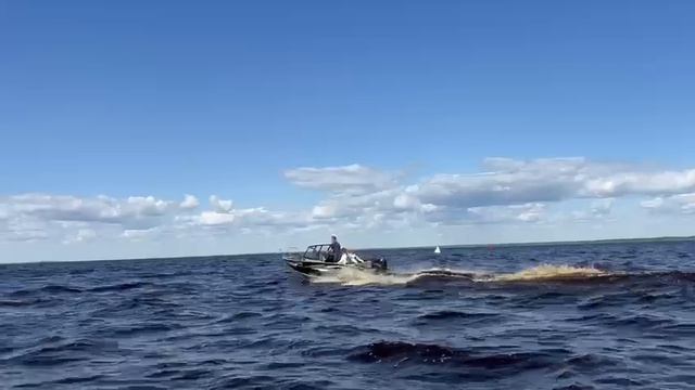 Триера 460 боурайдер , Псковское озеро.