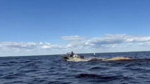 Триера 460 боурайдер , Псковское озеро.