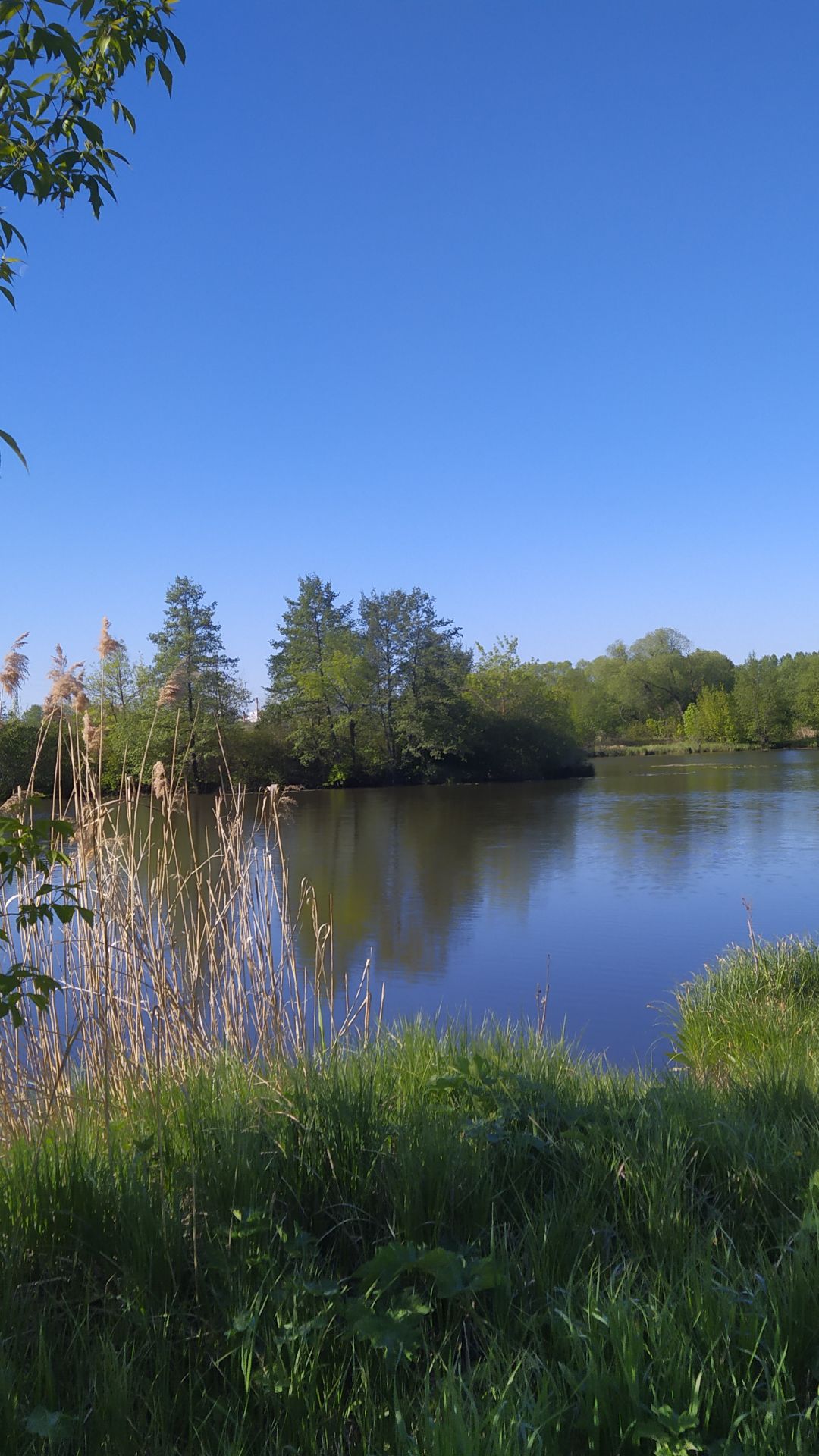 Стариковская радость на рыбалке.