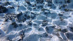 15. Мальдивы 2025. Остров Тодду. Змея