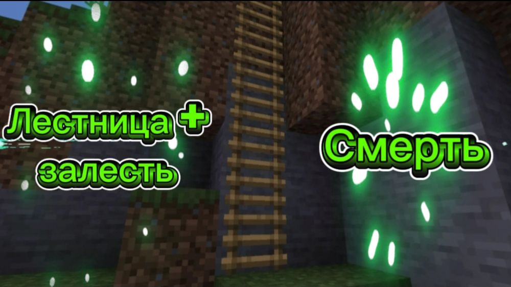 Заскамил друга ловушкой, у него и не было шанса