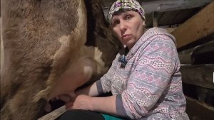 Все хорошо не может быть! Где дают там и бери.