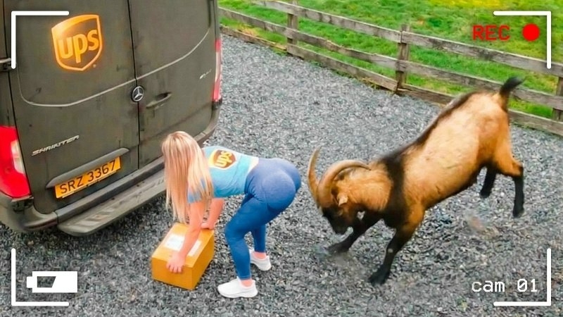 Самые смешные неудачи снятые на камеру. Лучшая подборка