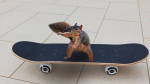 крч конкурс