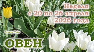 ОВЕН | ТАРО прогноз на неделю с 20 по 26 апреля 2026 года