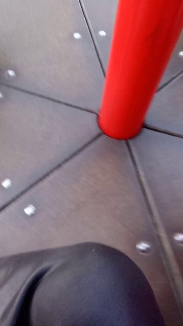 гуляем с таисией и с Ясей они поругались Яся сломала свою собаку и потом  Таисия упала  расплакалась