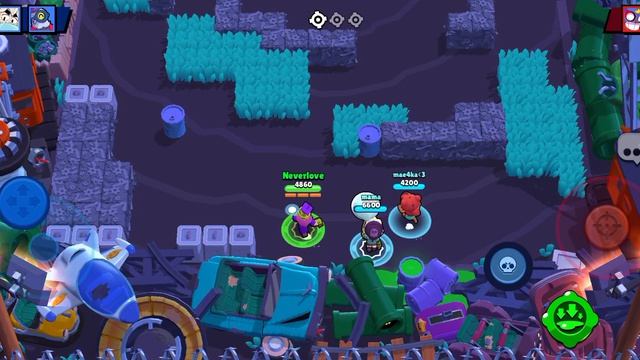 бравл старс день новичка  2.