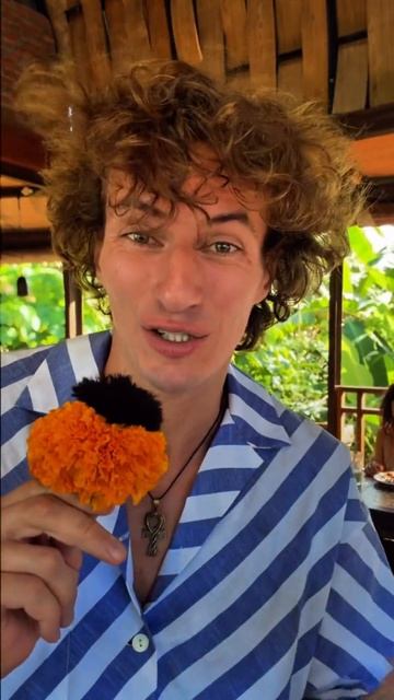 Спишь или уже пробудился?