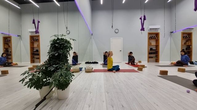 17.03.25 Хатха-йога в Fit&Flow