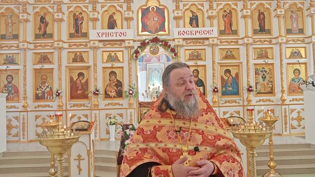 Мы люди книги