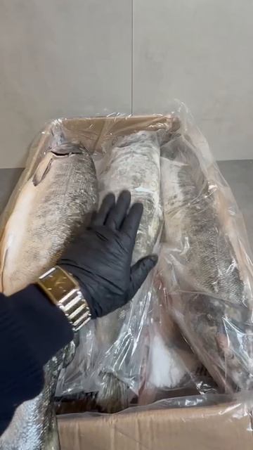 Кета свежемороженая