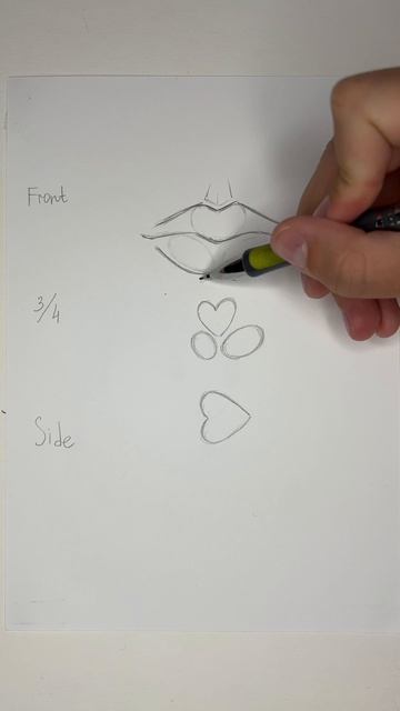 Губы в анфас