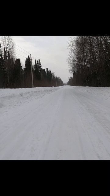 «Лютый ветер перемен»