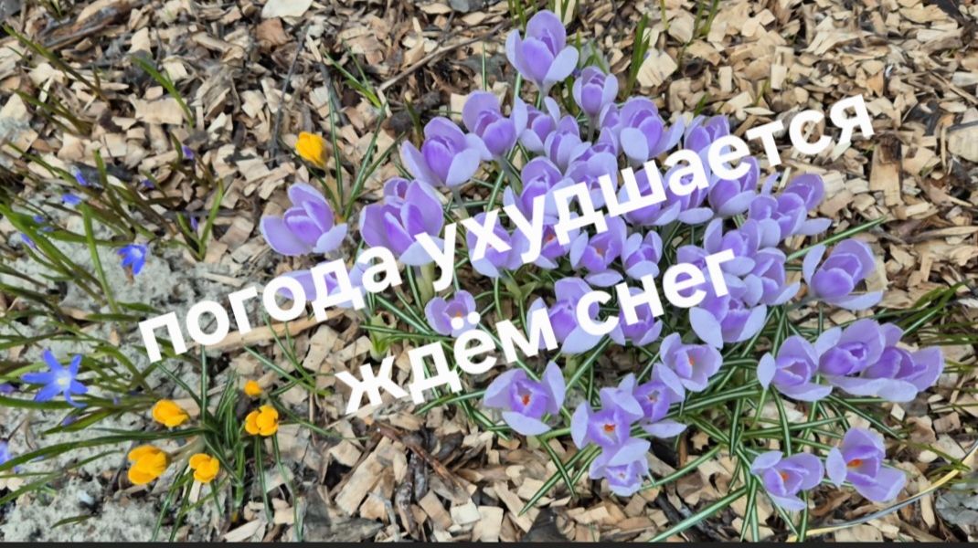 В Подмосковье ухудшается погода. Ждем снег. Меняю планы посадки.