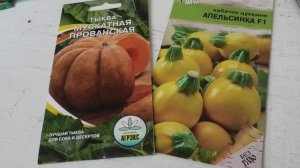 6-14 04 26г кабачок апельсинка,тыква мускатная прованская