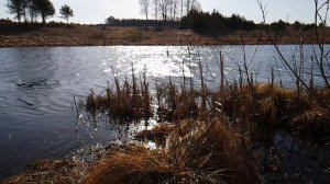 08▪️Весной на речке ▪️Футажи ▪️Красивая природа