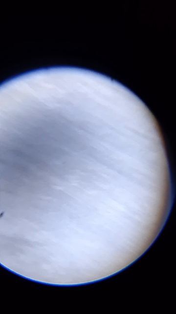 Про -  как выгледет бумага под микроскопом.