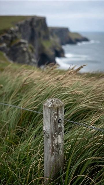 Шум моря и ветер на скалах #природа #пейзаж #приключение