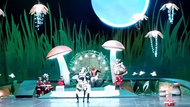 собака улыбака сиба приколы - Муха Цокотуха