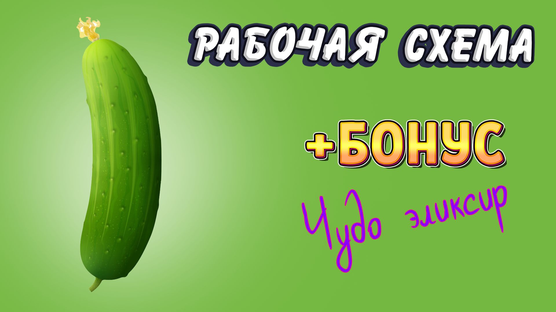 ОГУРЦЫ. Полный цикл: от посева до сбора урожая и способа хранения. Все тонкости и секреты / Культуры