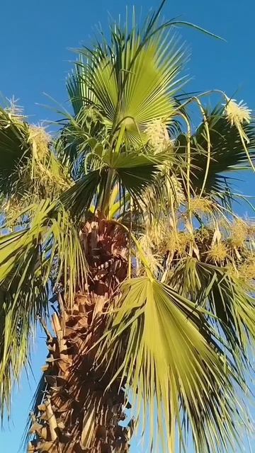 Завтрак в отеле Шарк клуб