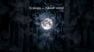 Есенин - Какая ночь (нейрокавер)