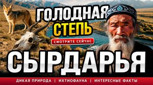 РЕКА СЫРДАРЬЯ -Таинственная Земля Голодной Степи!