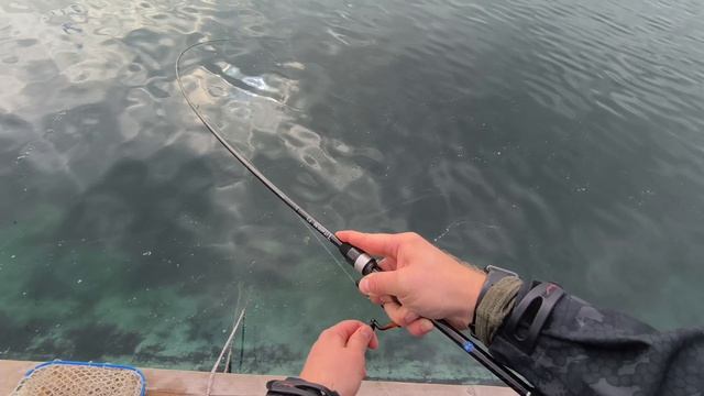 Форель даёт жару😁