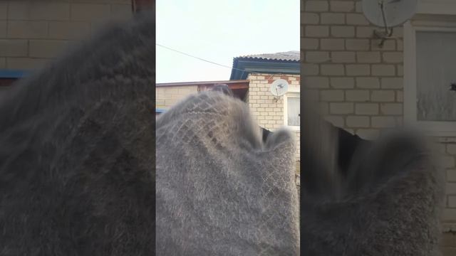 1000252553.mp4 плед пуховый для заказа т.89020931602