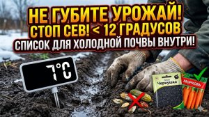Не вздумайте сеять это в ледяную почву как не погубить весь урожай и список самых стойких культур