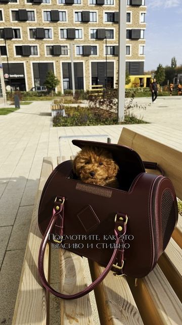 Авиапереноска за 50К