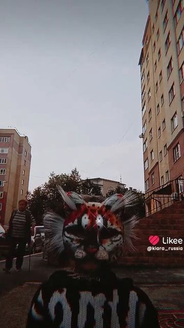 kiararussia киара dancer singer kiara recommended рекомендации