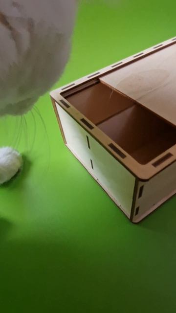 Пенал Для Хранения. Пенал Для Работы. Пенал Для Творчества