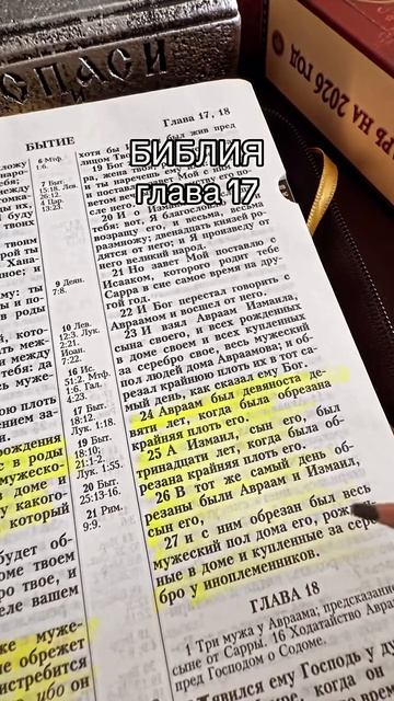 Каждый день возносим молитвы 🙏