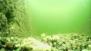 1000015539.mp4Волга гл.5м.18.04.2026г.