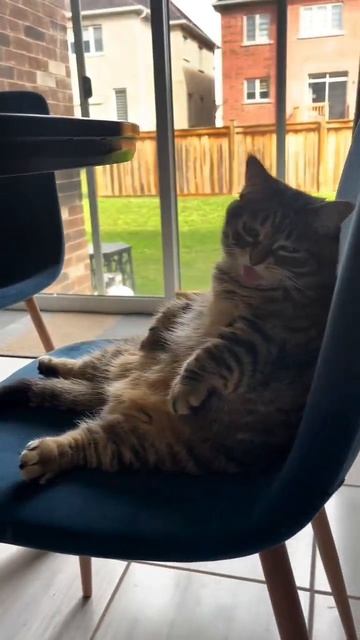 Состояние с утра