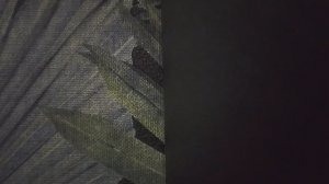 простите меня простите меня у меня простите м