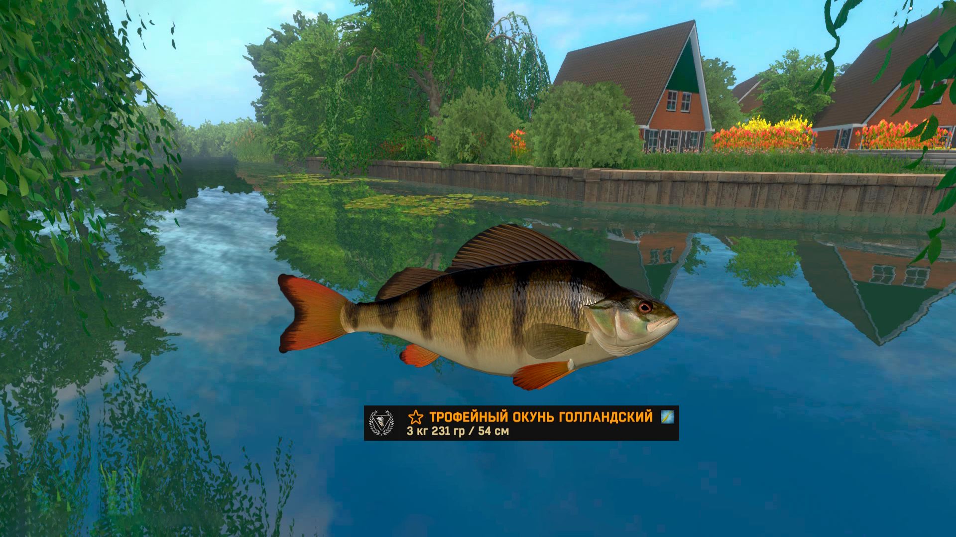 #176 Нидерланды: канал ч19 Путь к серебру: Окунь голландский: где? на что? Прохождение Fisher Online