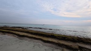 05. Мальдивы 2025. Остров Тодду. Аист