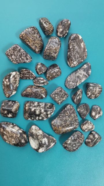 Копейчатая яшма в магазин . Галтовка .